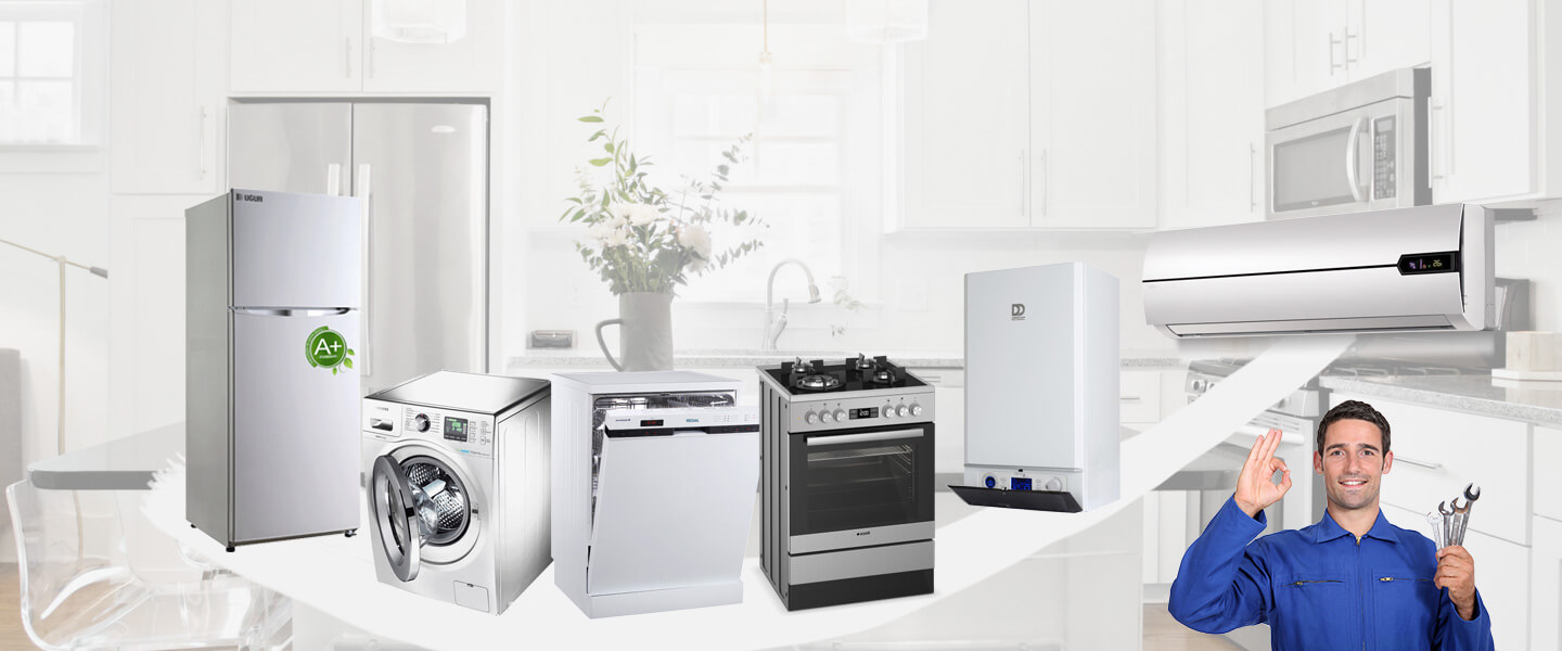 Ceylanpınar Philips Servisi